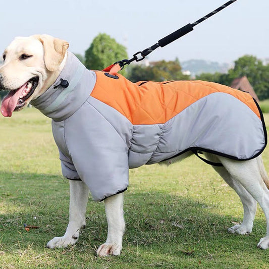 Dog Jacket For Winter